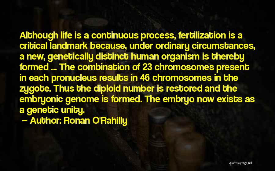 Embryo Quotes By Ronan O'Rahilly