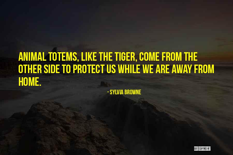 Embryology Examples Quotes By Sylvia Browne Embryology Examples Quotes By Sylvia Browne