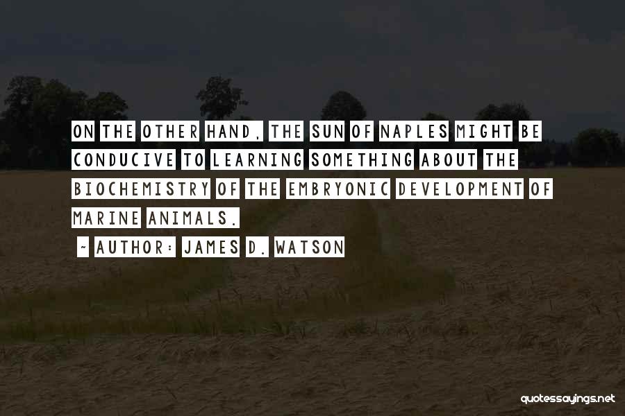 Embryonic Development Quotes By James D. Watson