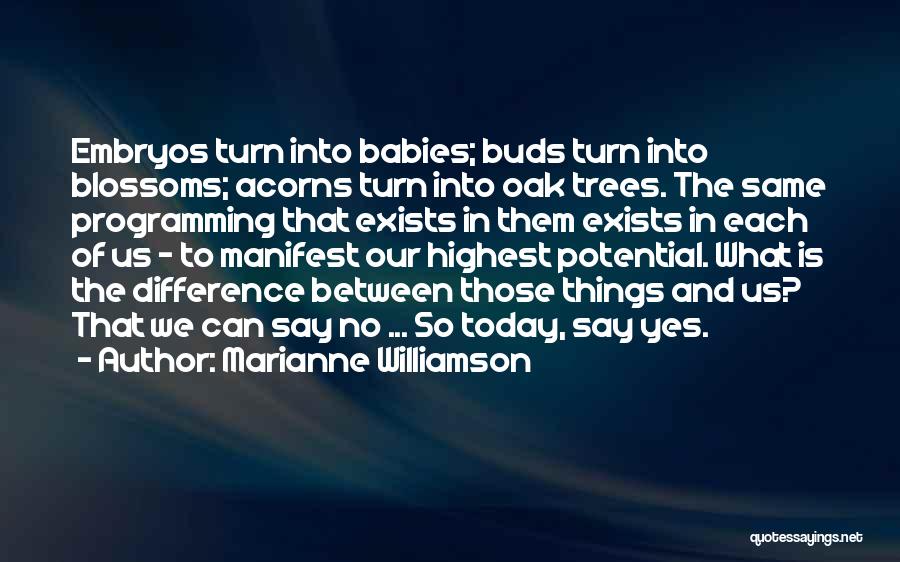 Embryos Quotes By Marianne Williamson