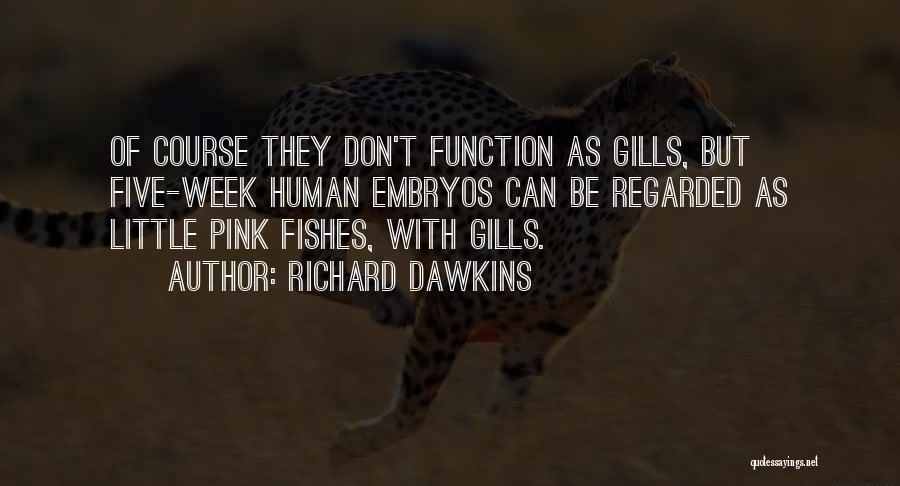 Embryos Quotes By Richard Dawkins