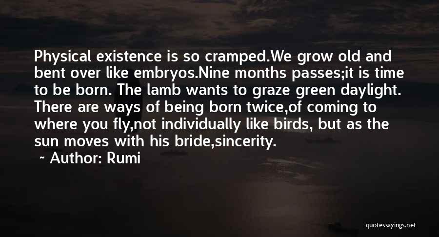 Embryos Quotes By Rumi