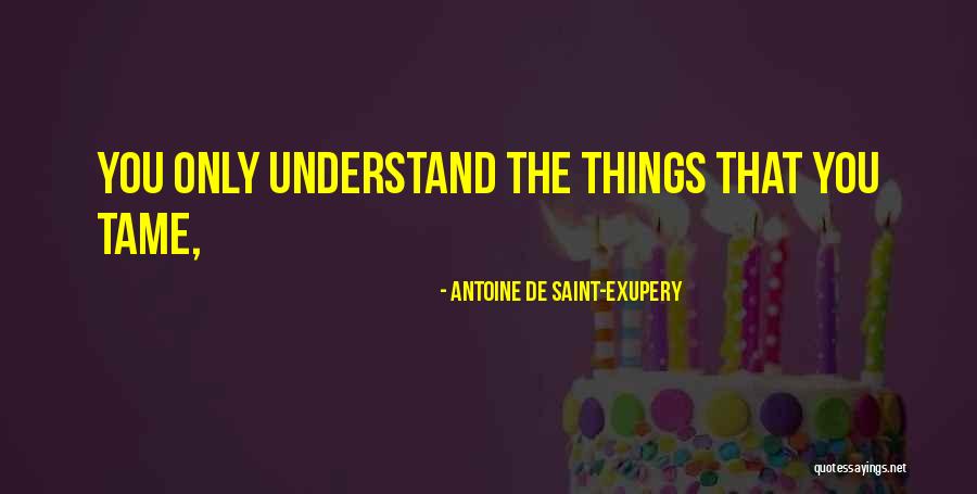 Embun Matahari Quotes By Antoine De Saint-Exupery Embun Matahari Quotes By Antoine De Saint-Exupery