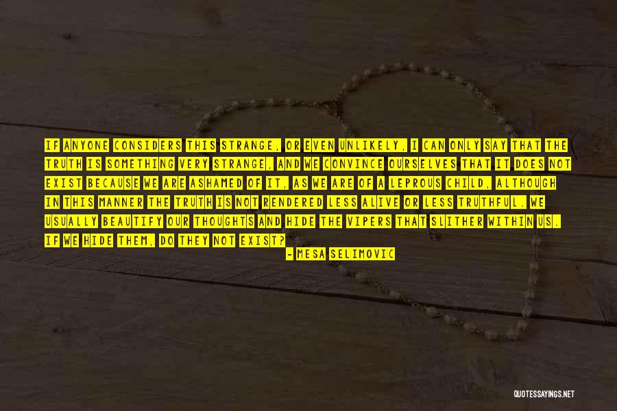 Embustero Significado Quotes By Mesa Selimovic Embustero Significado Quotes By Mesa Selimovic