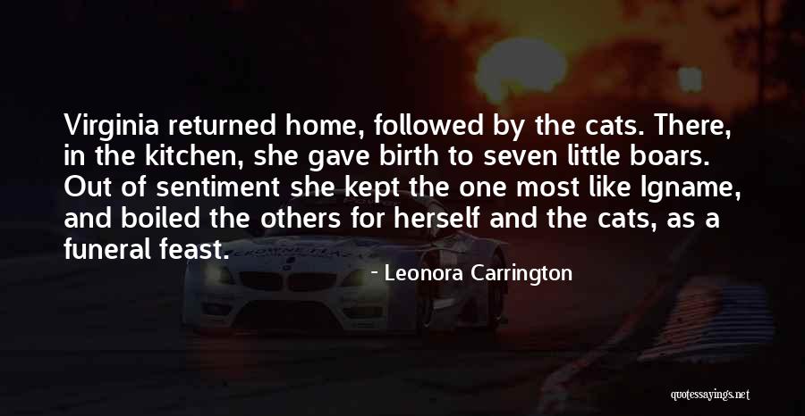 Emceeing A Program Quotes By Leonora Carrington Emceeing A Program Quotes By Leonora Carrington