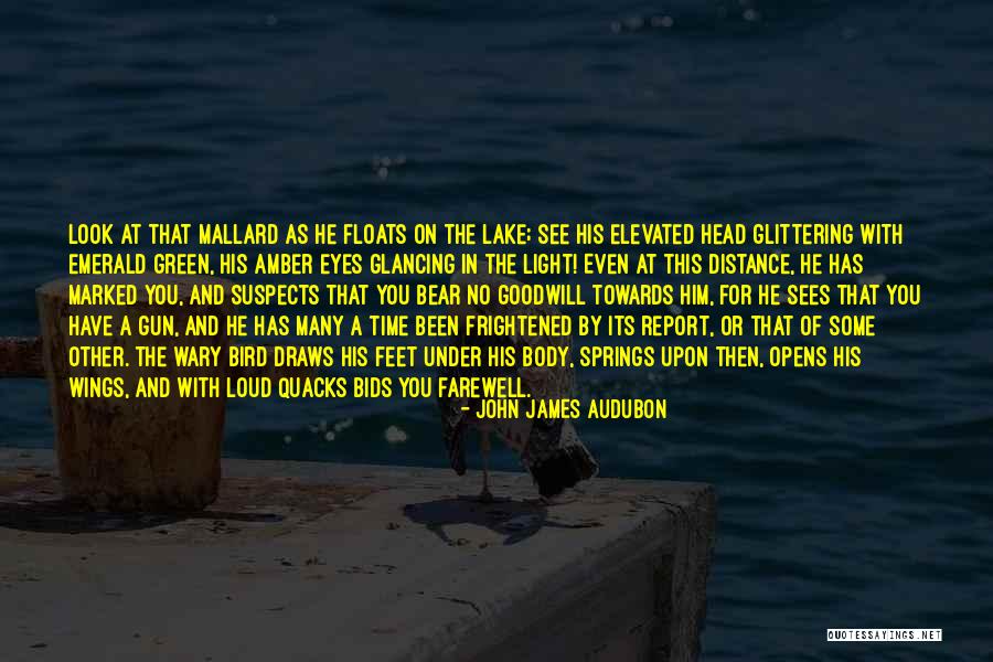 Emerald Eyes Quotes By John James Audubon Emerald Eyes Quotes By John James Audubon