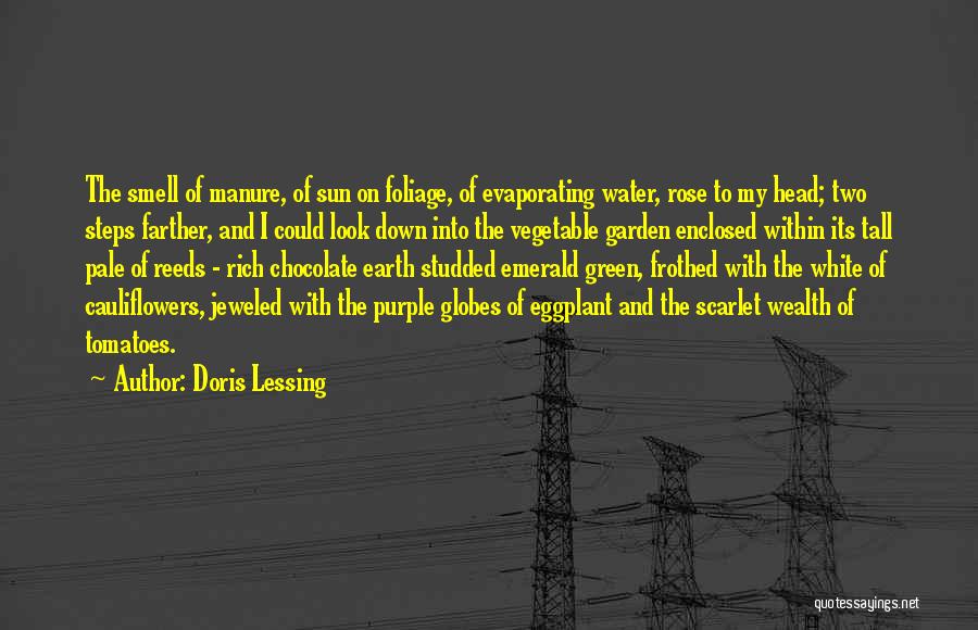 Emerald Quotes By Doris Lessing