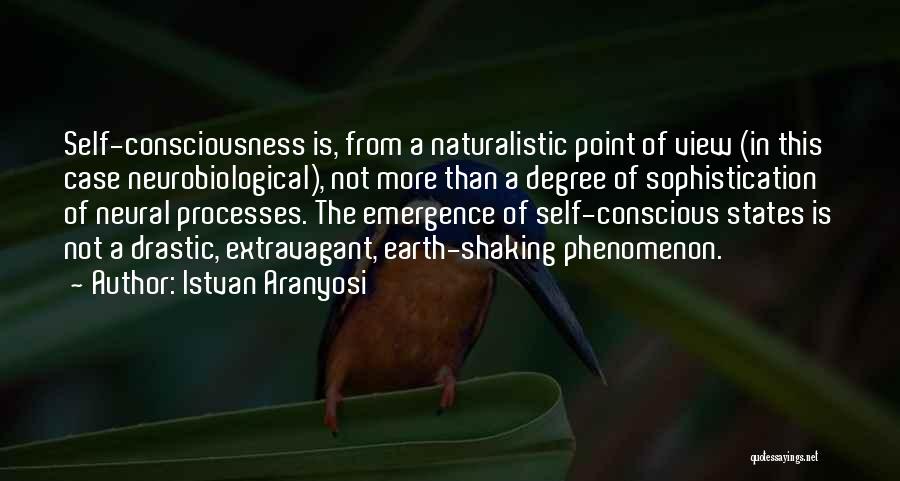 Emergence Quotes By Istvan Aranyosi