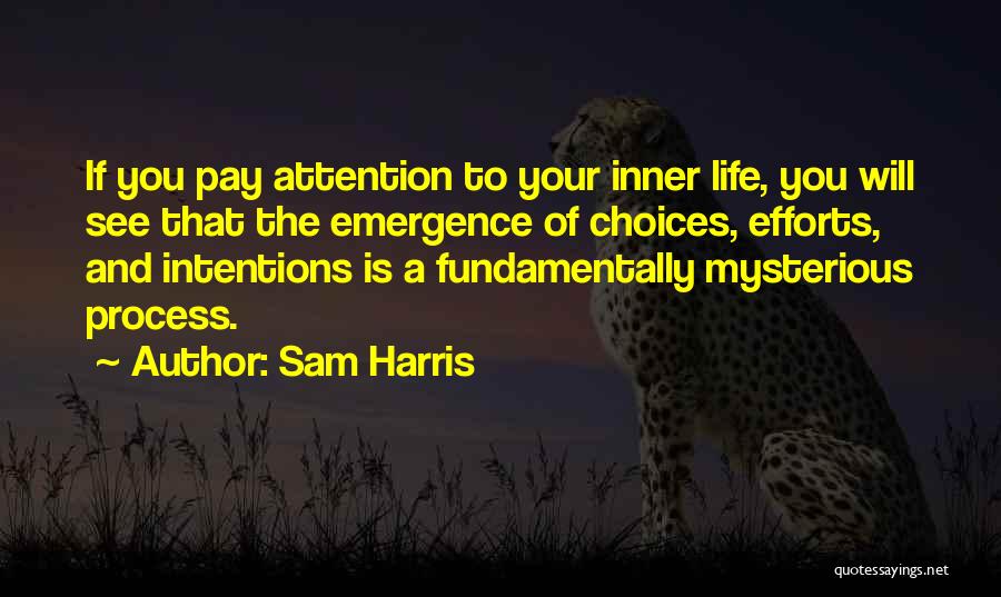 Emergence Quotes By Sam Harris