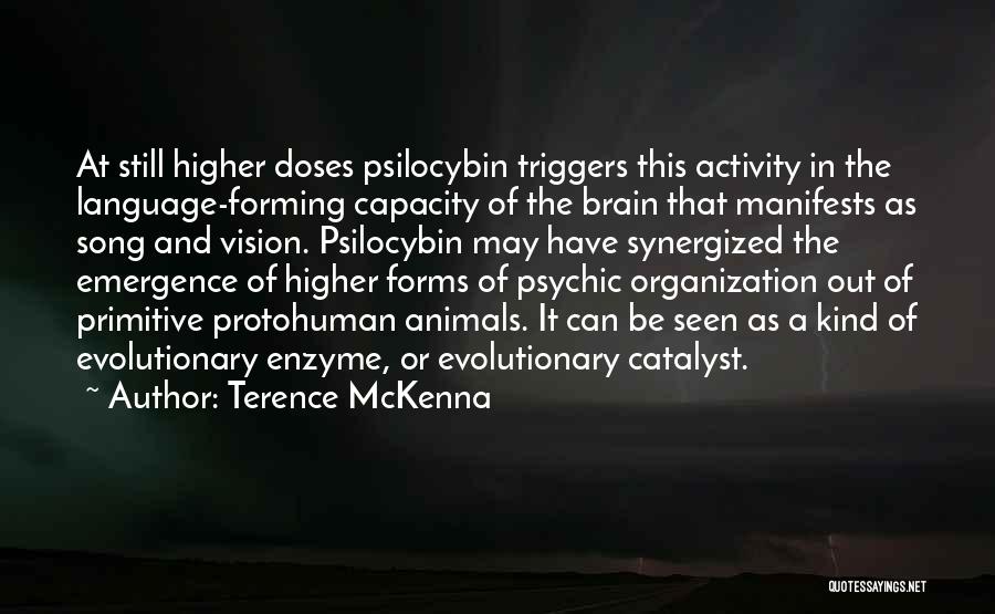 Emergence Quotes By Terence McKenna
