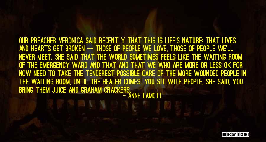 Emergency Love Quotes By Anne Lamott