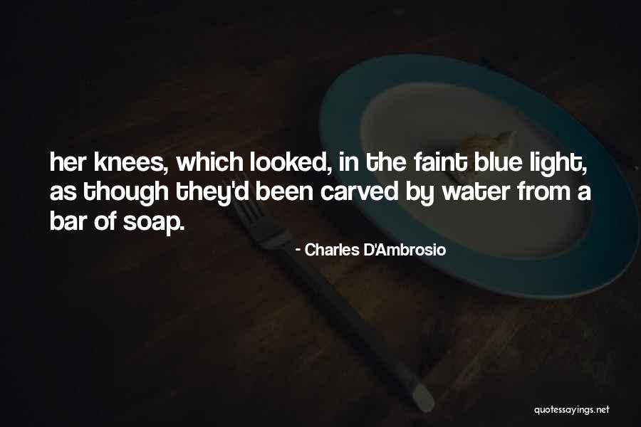 Emergency Squad 51 Quotes By Charles D'Ambrosio Emergency Squad 51 Quotes By Charles D'Ambrosio