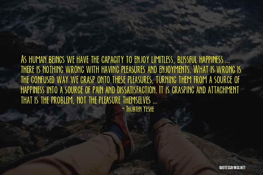 Emergency Squad 51 Quotes By Thubten Yeshe Emergency Squad 51 Quotes By Thubten Yeshe