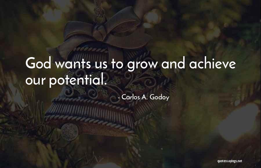 Emerger Flies Quotes By Carlos A. Godoy Emerger Flies Quotes By Carlos A. Godoy
