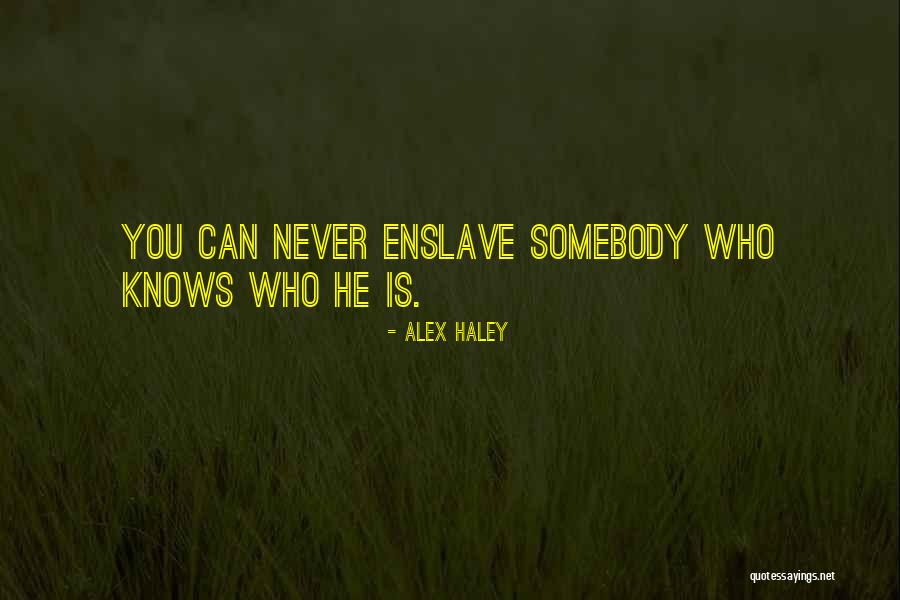 Emergia Call Quotes By Alex Haley Emergia Call Quotes By Alex Haley