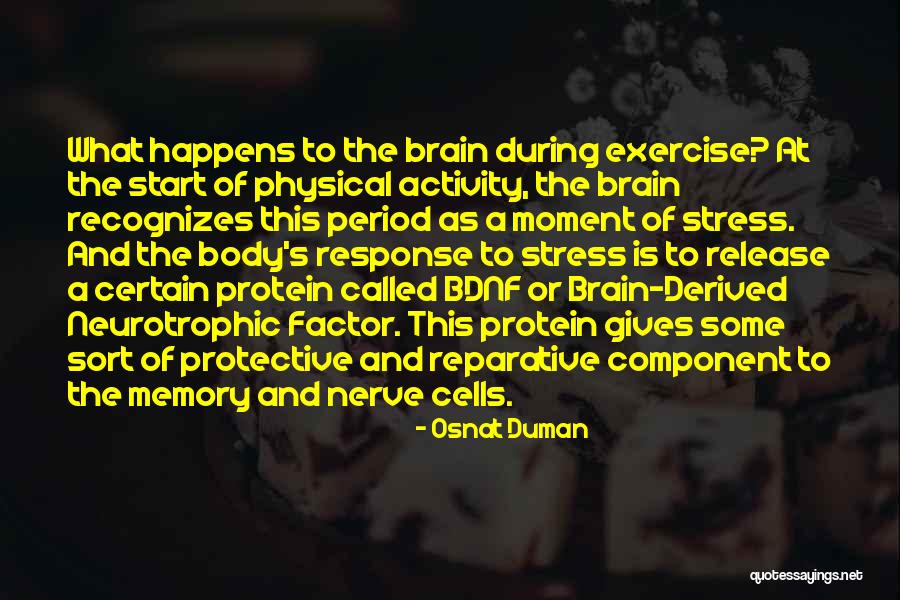 Emerging Adults Quotes By Osnat Duman Emerging Adults Quotes By Osnat Duman