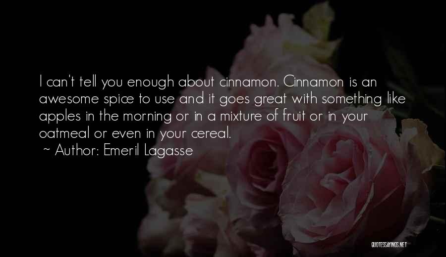 Emeril Lagasse Quotes 165911