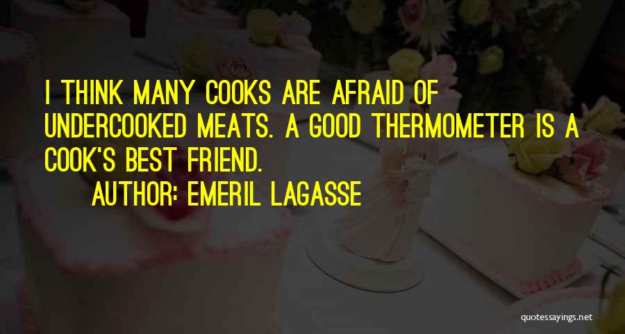 Emeril Lagasse Quotes 2209950