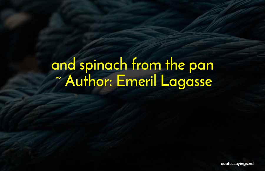 Emeril Quotes By Emeril Lagasse