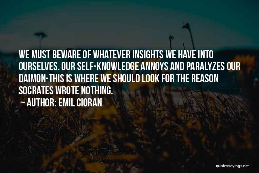 Emil Cioran Quotes 121903