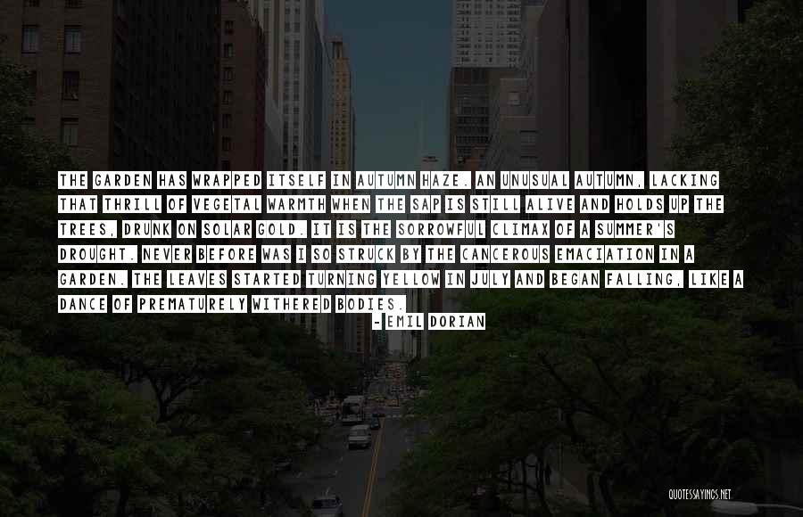 Emil Dorian Quotes 288298 Emil Dorian Quotes 288298