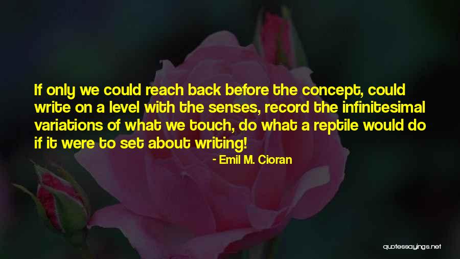 Emil M. Cioran Quotes 1518660