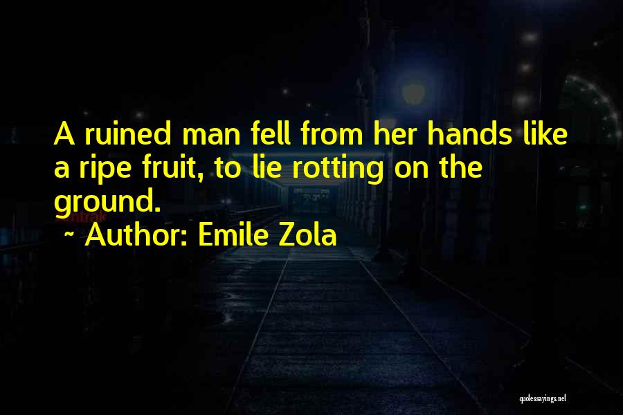 Emile Zola Quotes 1073226