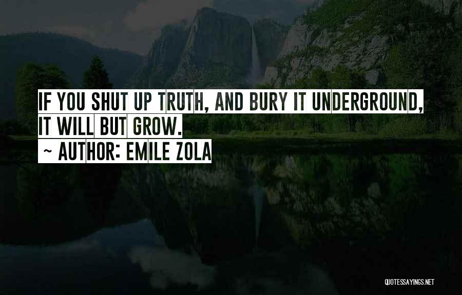 Emile Zola Quotes 259301