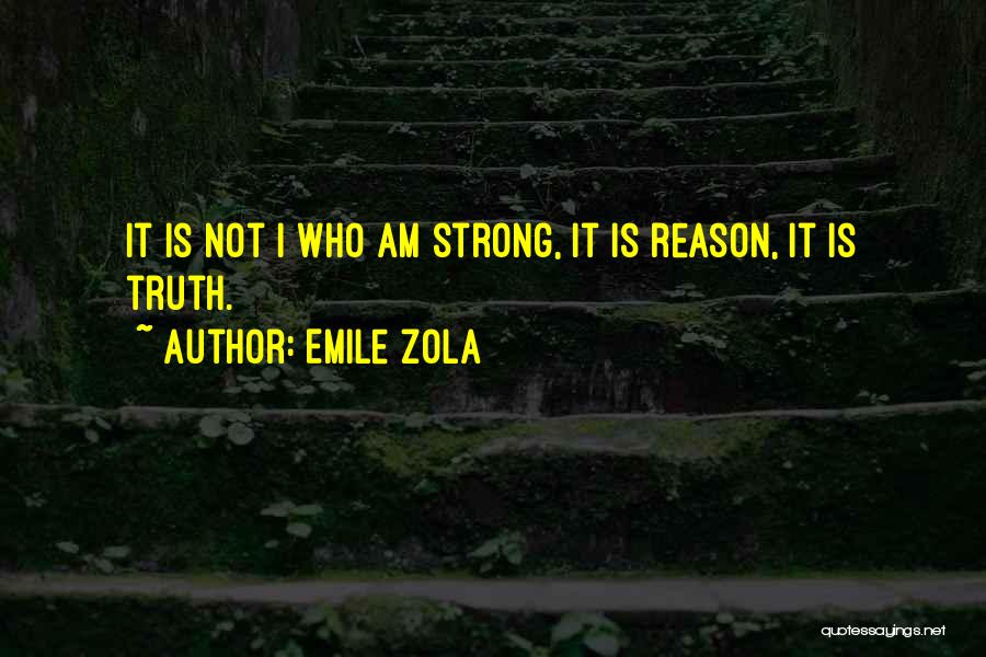 Emile Zola Quotes 401446