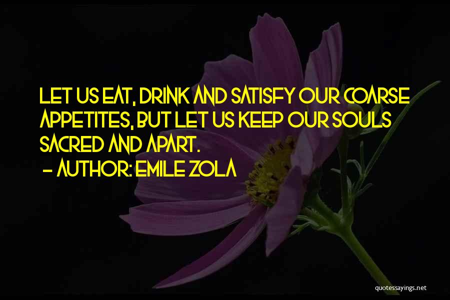 Emile Zola Quotes 529500