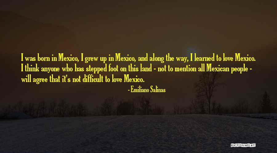 Emiliano Salinas Quotes 1480110 Emiliano Salinas Quotes 1480110