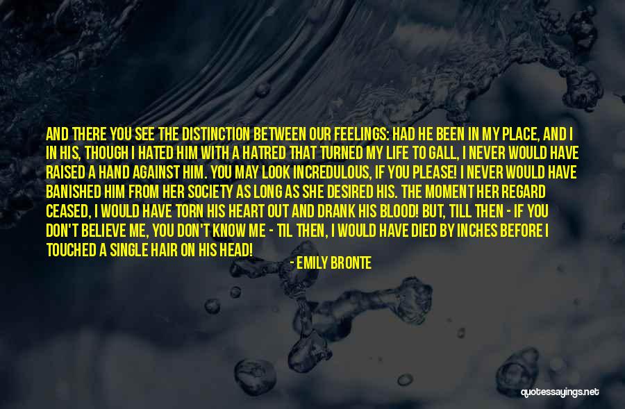 Emily Bronte Quotes 2043190 Emily Bronte Quotes 2043190