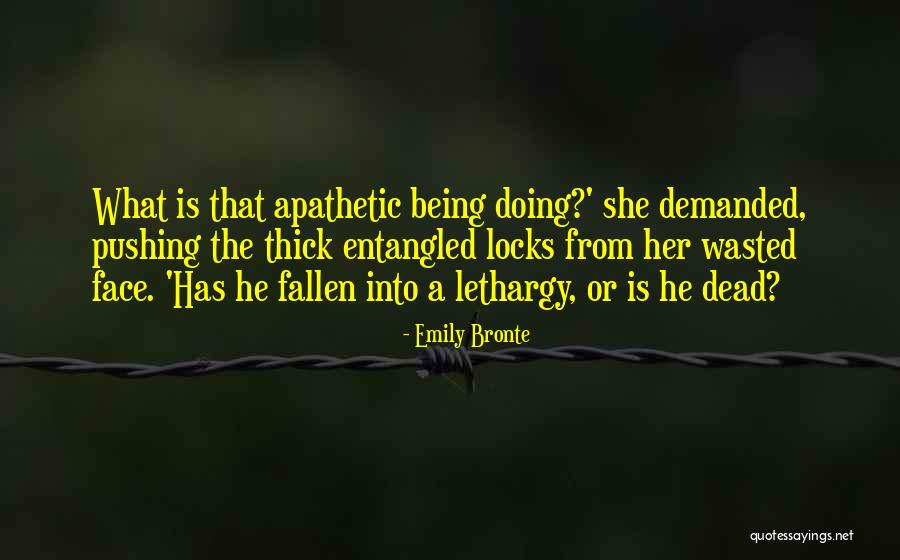 Emily Bronte Quotes 2186648 Emily Bronte Quotes 2186648