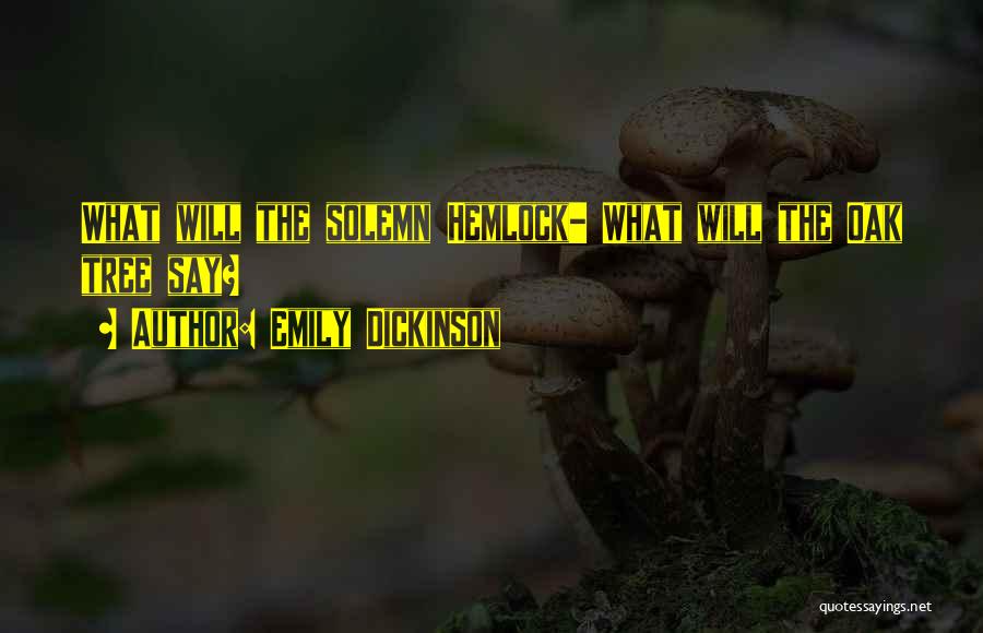 Emily Dickinson Quotes 805946