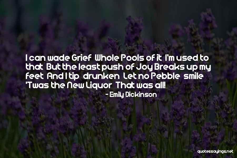 Emily Dickinson Quotes 915359