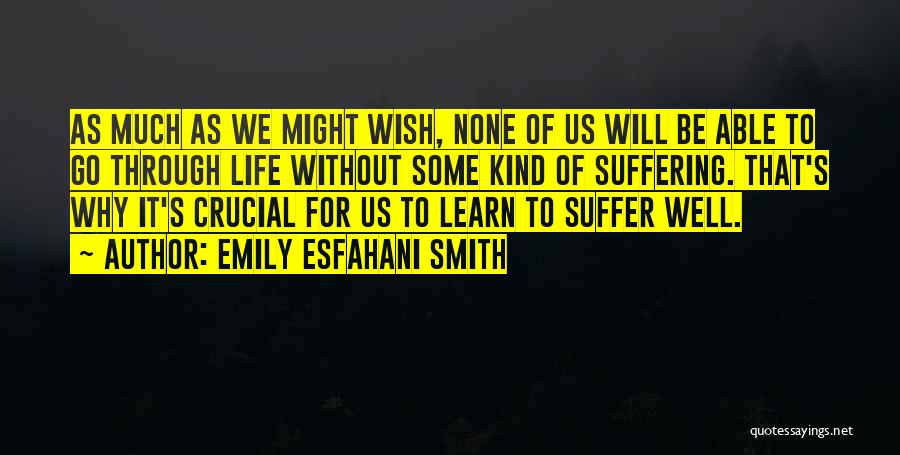 Emily Esfahani Smith Quotes 1516995
