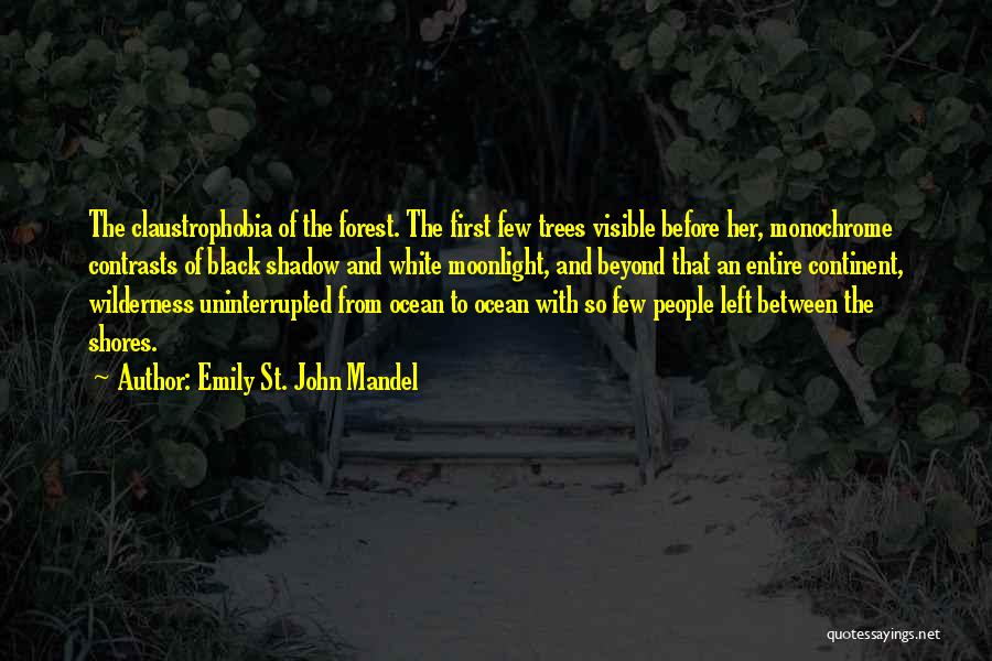 Emily St. John Mandel Quotes 1325715