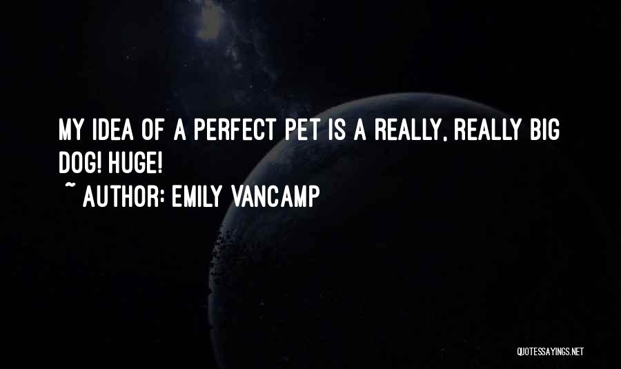 Emily VanCamp Quotes 1980478