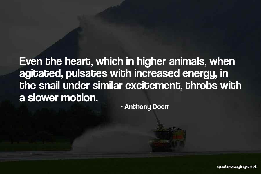 Eminase Quotes By Anthony Doerr Eminase Quotes By Anthony Doerr