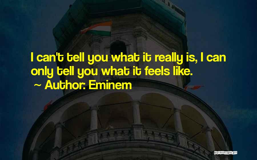 Eminem Quotes 1454018