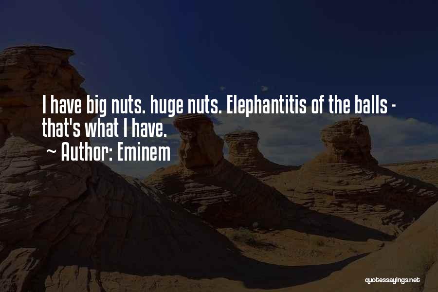 Eminem Quotes 2025837