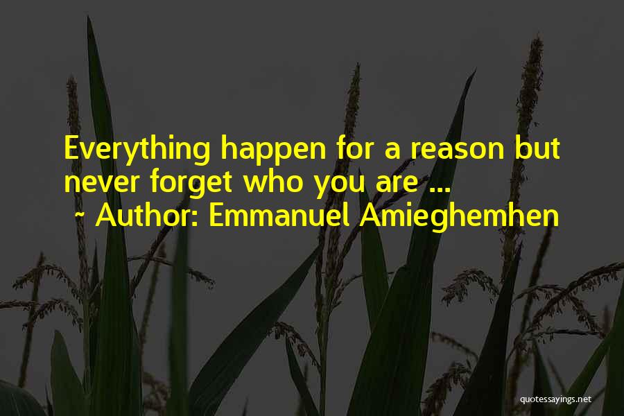 Emmanuel Amieghemhen Quotes 1195074