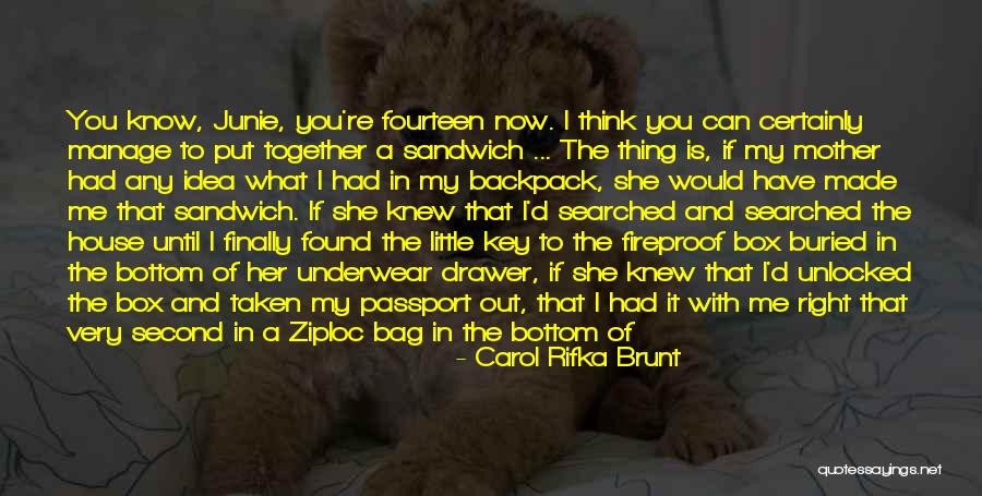 Emmanuel Goldstein From 1984 Quotes By Carol Rifka Brunt Emmanuel Goldstein From 1984 Quotes By Carol Rifka Brunt