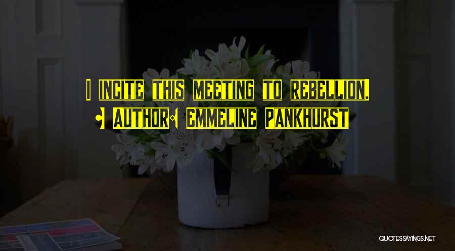 Emmeline Pankhurst Quotes 350625