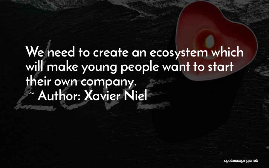 Emmets Waxhaw Quotes By Xavier Niel