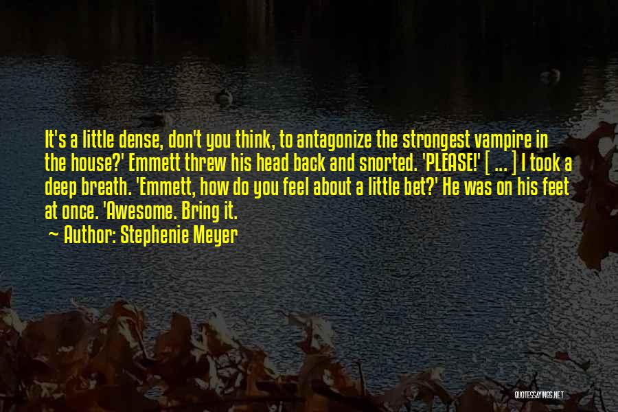Emmett Quotes By Stephenie Meyer