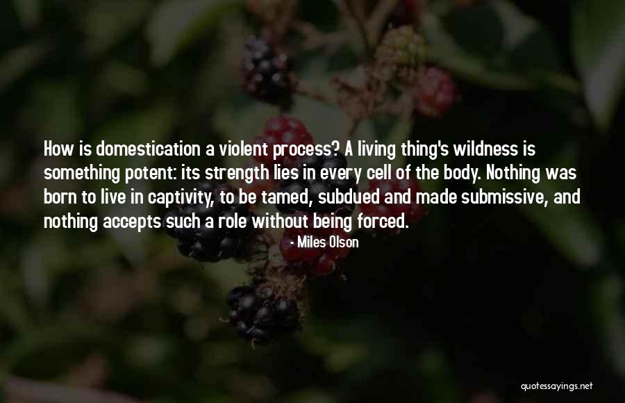 Emmys Schitts Creek Quotes By Miles Olson Emmys Schitts Creek Quotes By Miles Olson