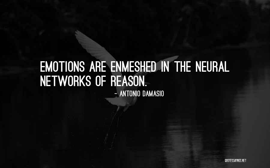 Emotion And Leadership Quotes By Antonio Damasio Emotion And Leadership Quotes By Antonio Damasio