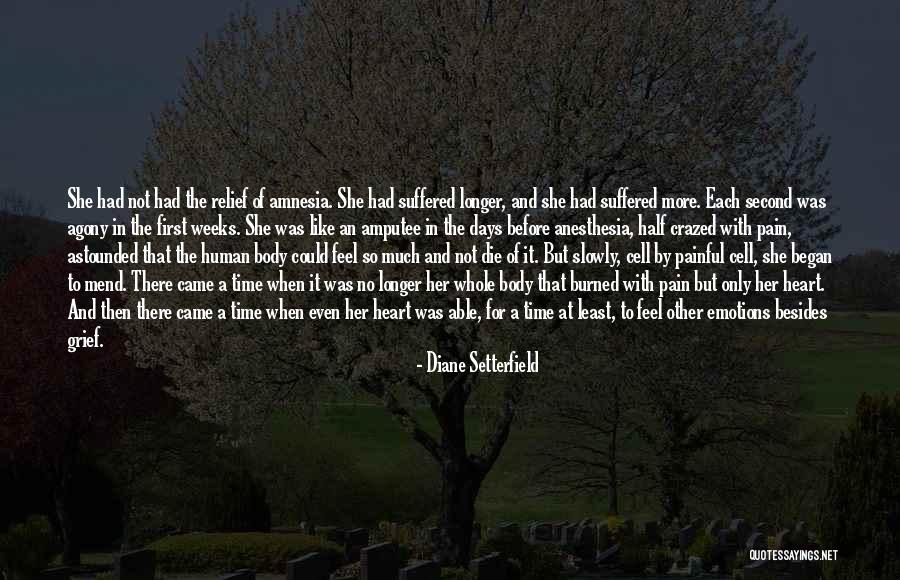 Emotional And Physical Pain Quotes By Diane Setterfield Emotional And Physical Pain Quotes By Diane Setterfield