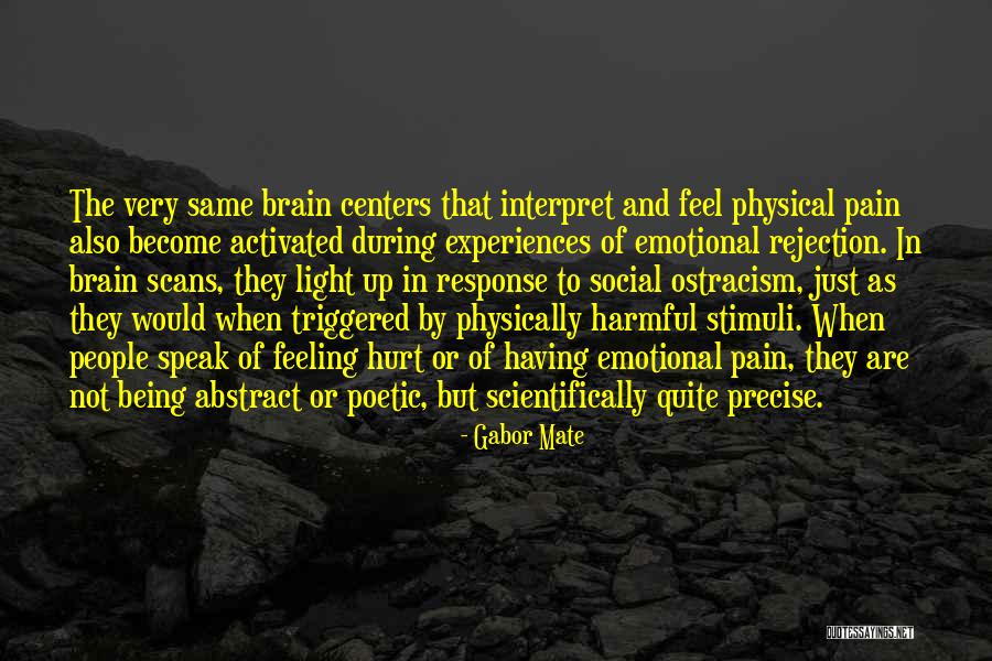 Emotional And Physical Pain Quotes By Gabor Mate Emotional And Physical Pain Quotes By Gabor Mate